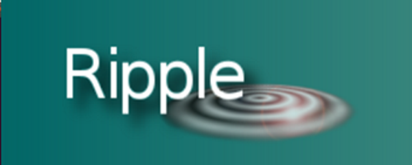 Ripple XRP и совместимость: Суть