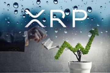 Ripple XRP в темпе