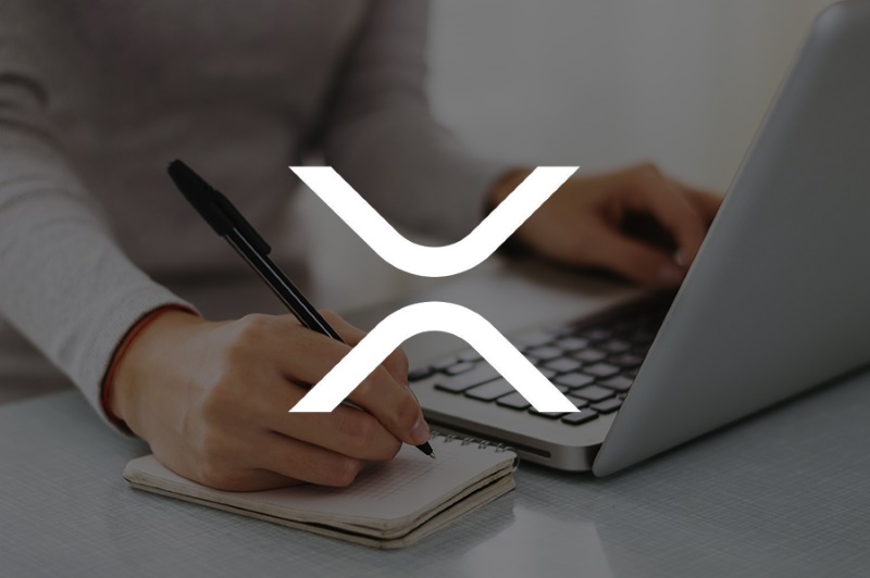 Успехи MoneyNetint