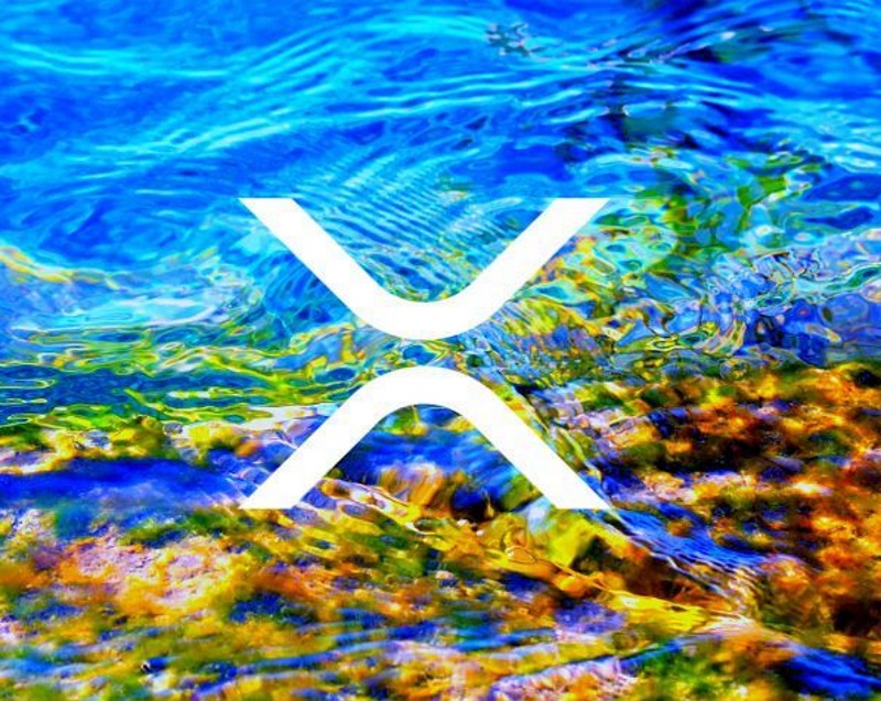 Ripple XRP назвали будущим крипто-пространства: Детали