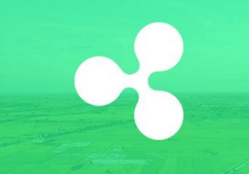 Ripple XRP Ledger Dev