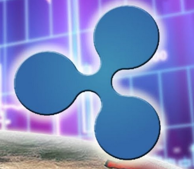 Ripple отчитывается: Детали