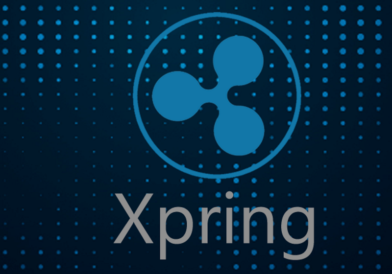 Ripple Xpring вкладывает