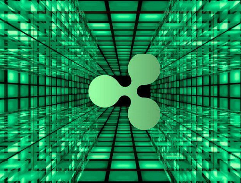 Ripple во взглядах: Мнение президента США