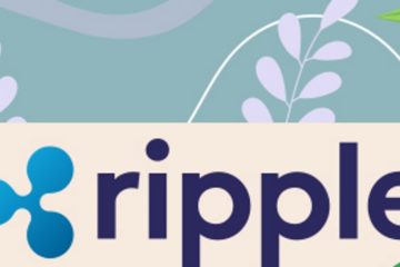 Ripple XRP начала