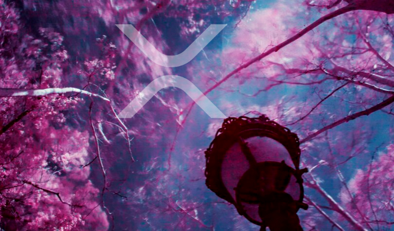 Ripple XRP перед задачей подъема