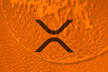 Ripple XRP продолжает увеличивать обороты