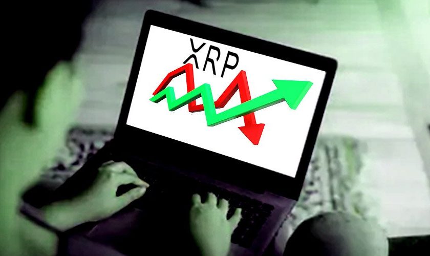 XRP bulls bears