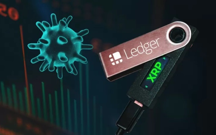 Жертва COVID-19 потеряла все свои сбережения в Ripple XRP, хранящиеся на кошельке Ledger