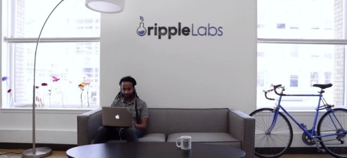 Rippl удаленная работа