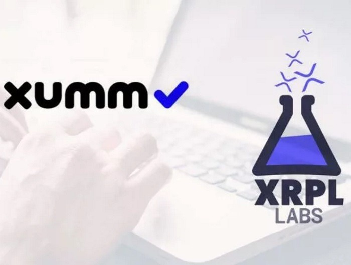 Ripple XUMM: Виртуальная встреча XRP, 10551 пользователей и Towo Labs