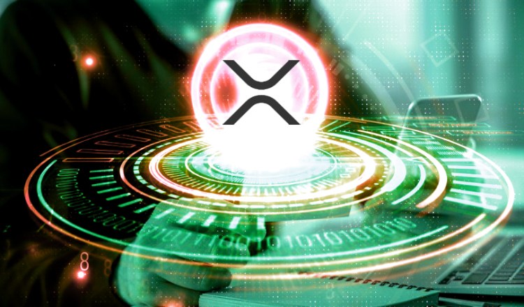 Ripple исследует большие возможности в платежах малого бизнеса: Детали