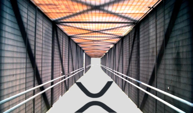 Индекс ликвидности Ripple XRP побил рекорд крупнейшей крипто-биржи в Мексике