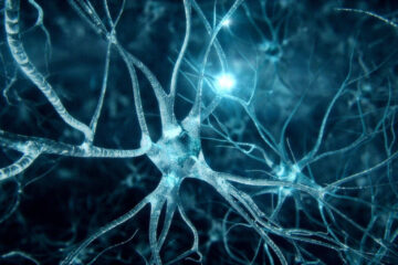 Ripple приобретает 40% акций азиатской компании Tranglo