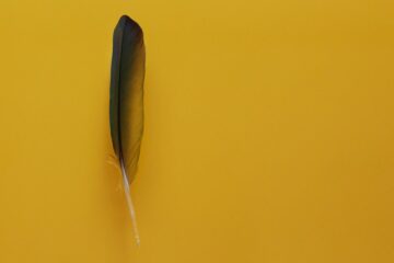 У Ripple XRP Ledger может быть новый тип учетной записи: Предложение