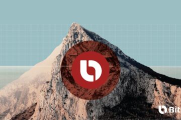 Поддерживаемая Ripple биржа Bitso заключила сотрудничество с Circle